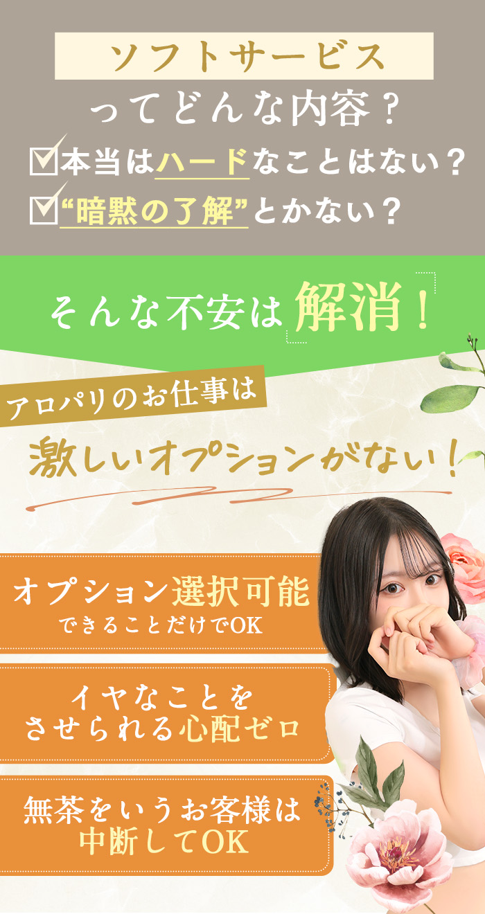 ソフトサービスって？
