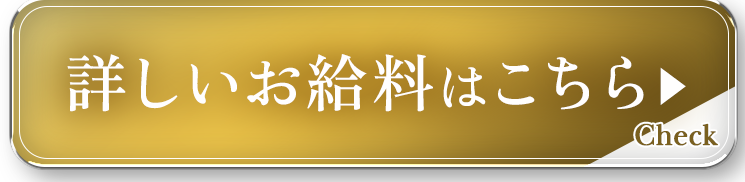 お給料をチェック